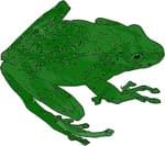 The Tree Toad - Downloadable Kit cover