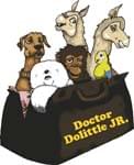 Broadway Jr. - Doctor Dolittle Junior cover