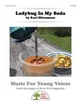 Ladybug In My Soda - Downloadable Kit with Video File cover