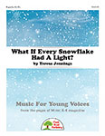 What If Every Snowflake Had A Light? cover